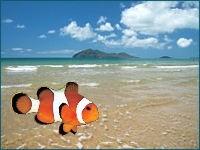 14km of beautiful sandy beach, one of the closest access points to the Great Barrier Reef