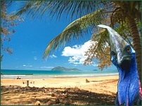 Dunk Island just off Mission Beach - take a day trip - water taxi located about 400m up the beach.